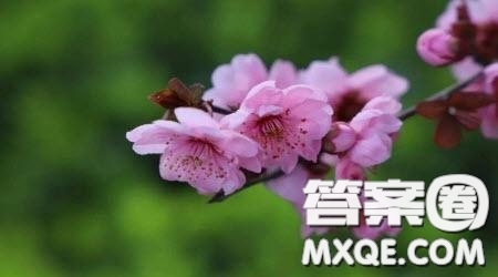 離別是另一種開始為題作文600字 關(guān)于離別是另一種開始為題目的作文600字