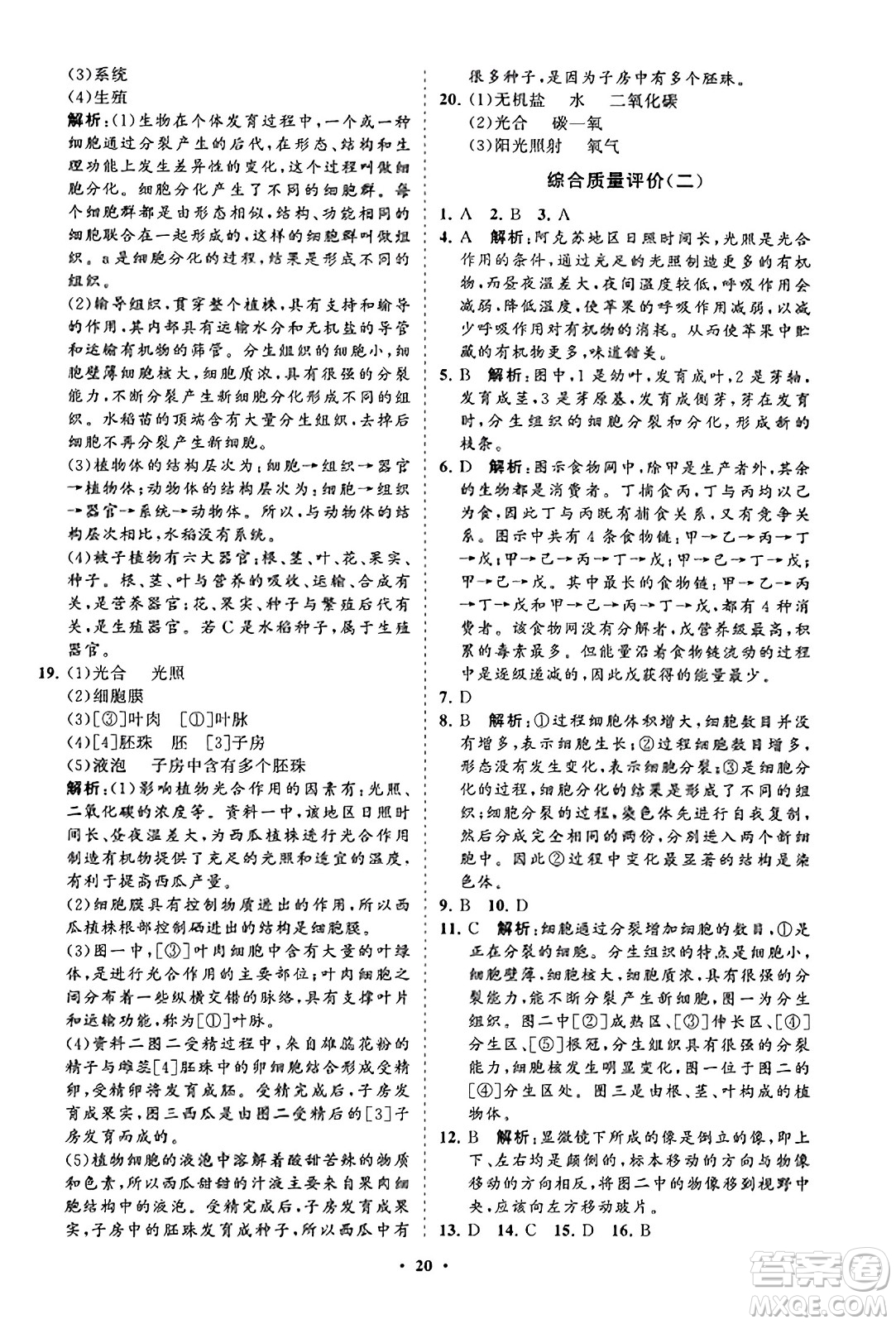 山東教育出版社2023年秋初中同步練習(xí)冊(cè)分層卷七年級(jí)生物學(xué)上冊(cè)人教版答案