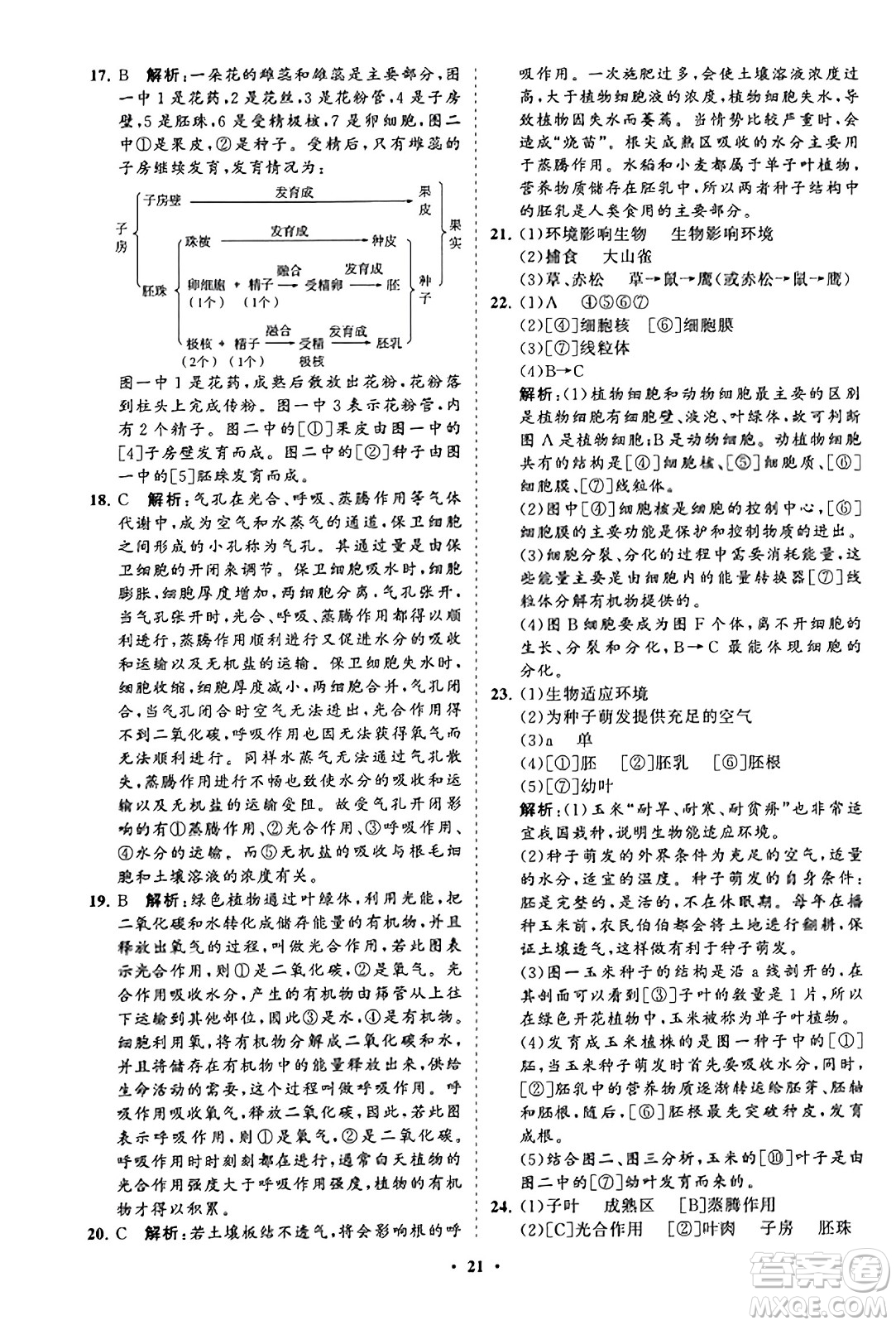 山東教育出版社2023年秋初中同步練習(xí)冊(cè)分層卷七年級(jí)生物學(xué)上冊(cè)人教版答案