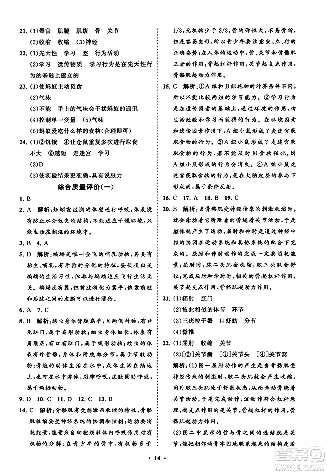 山東教育出版社2023年秋初中同步練習冊分層卷八年級生物學上冊人教版答案