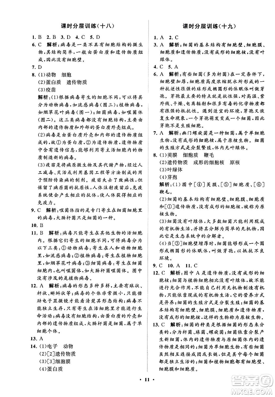 山東教育出版社2023年秋初中同步練習(xí)冊分層卷七年級生物學(xué)上冊通用版答案