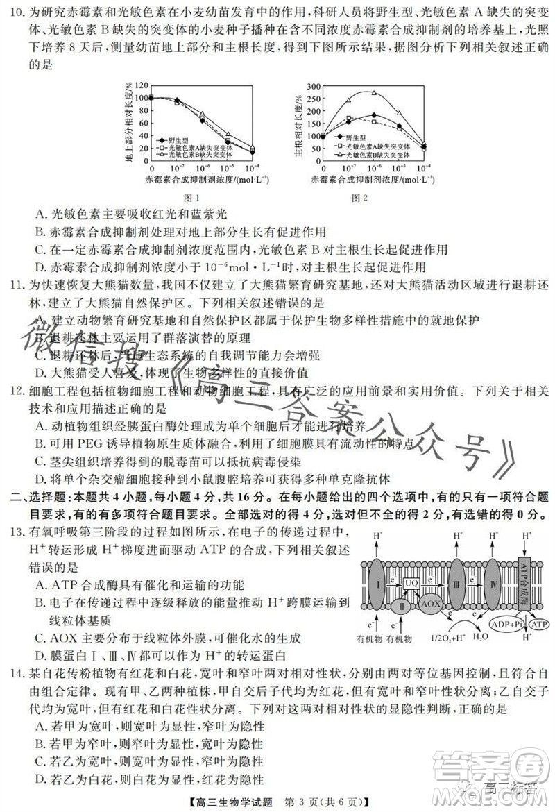 三湘名校教育聯(lián)盟2024屆高三10月大聯(lián)考生物試題及答案