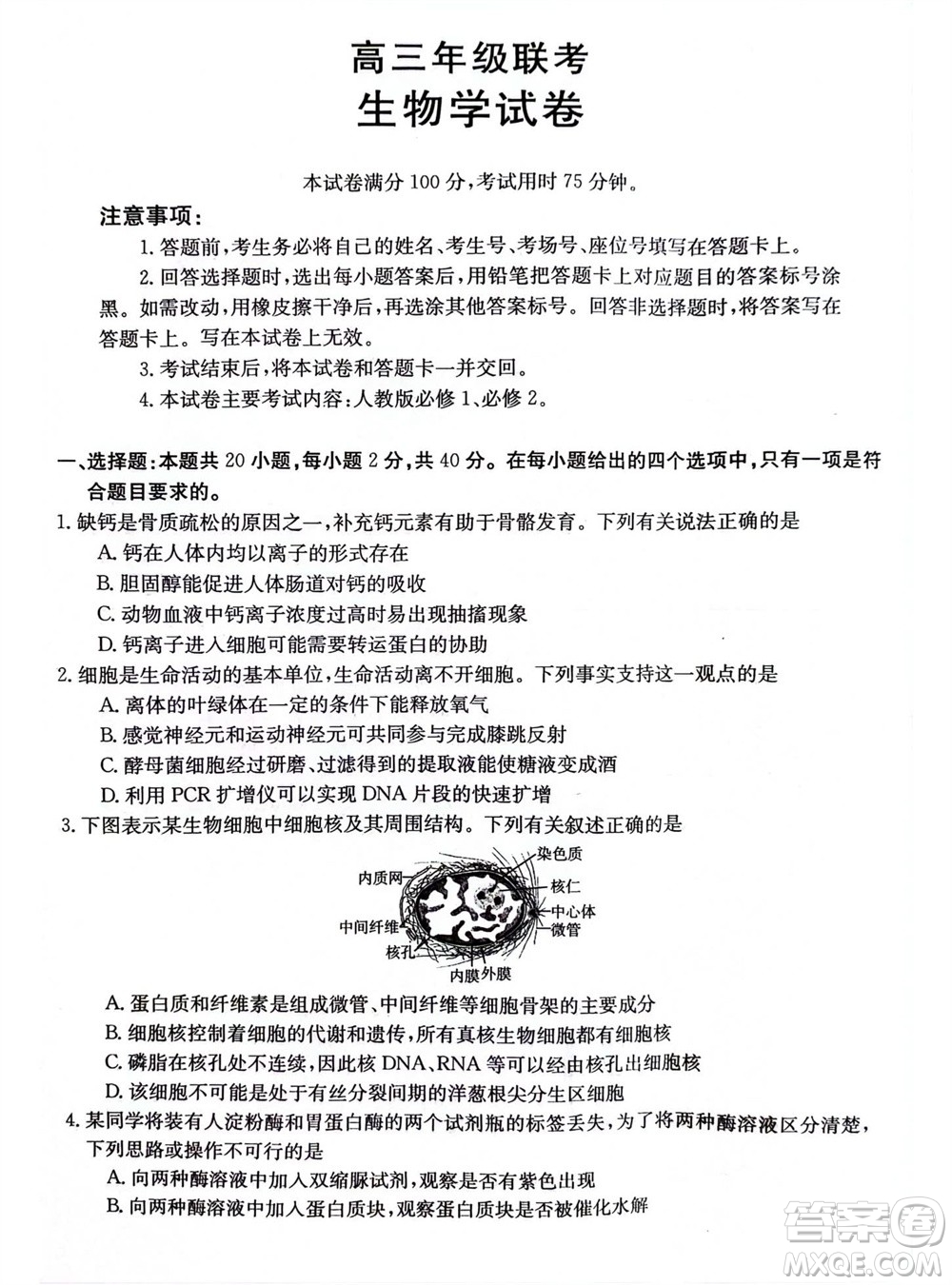 2024屆貴州金太陽(yáng)高三10月26日24-111C聯(lián)考生物試卷答案