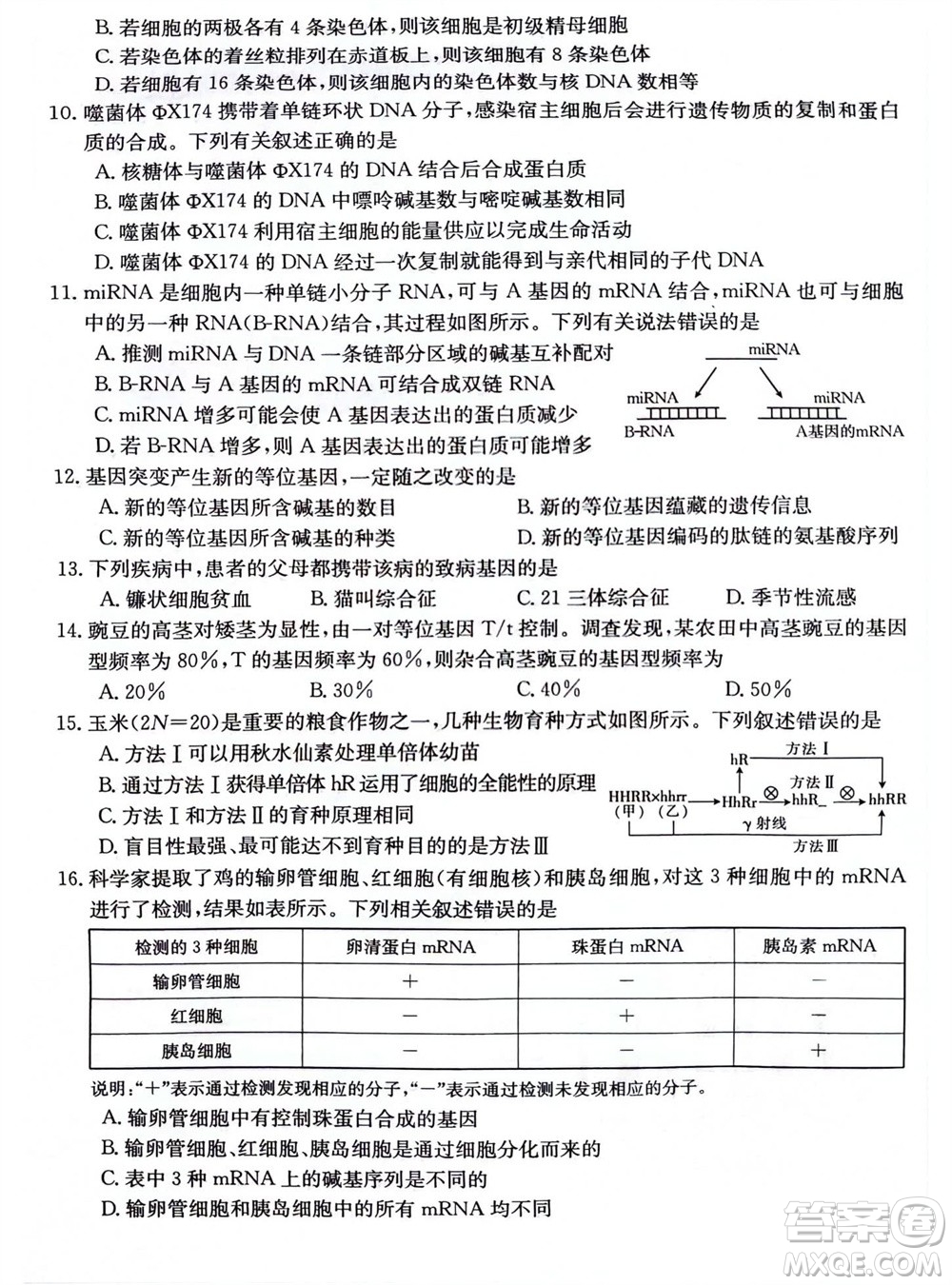 2024屆貴州金太陽(yáng)高三10月26日24-111C聯(lián)考生物試卷答案