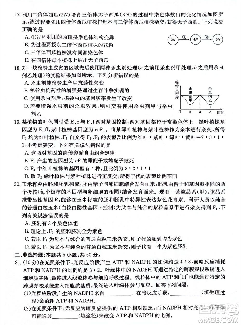 2024屆貴州金太陽(yáng)高三10月26日24-111C聯(lián)考生物試卷答案