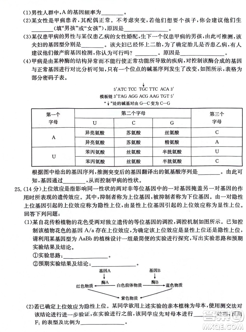 2024屆貴州金太陽(yáng)高三10月26日24-111C聯(lián)考生物試卷答案