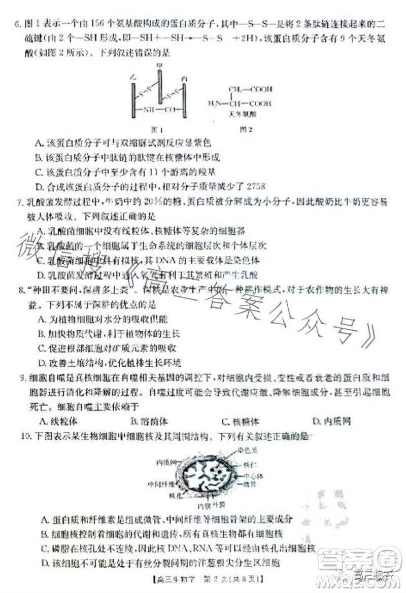 2024屆新疆金太陽(yáng)聯(lián)考高三10月30日24-46C生物試卷答案