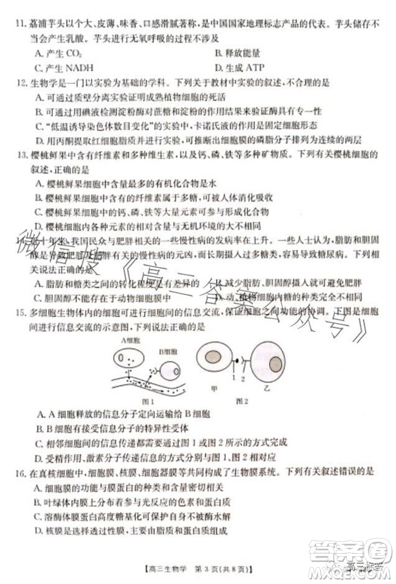 2024屆新疆金太陽(yáng)聯(lián)考高三10月30日24-46C生物試卷答案