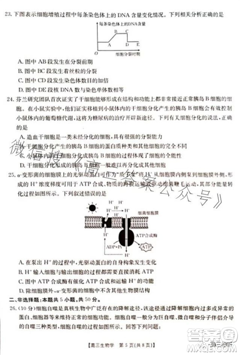 2024屆新疆金太陽(yáng)聯(lián)考高三10月30日24-46C生物試卷答案