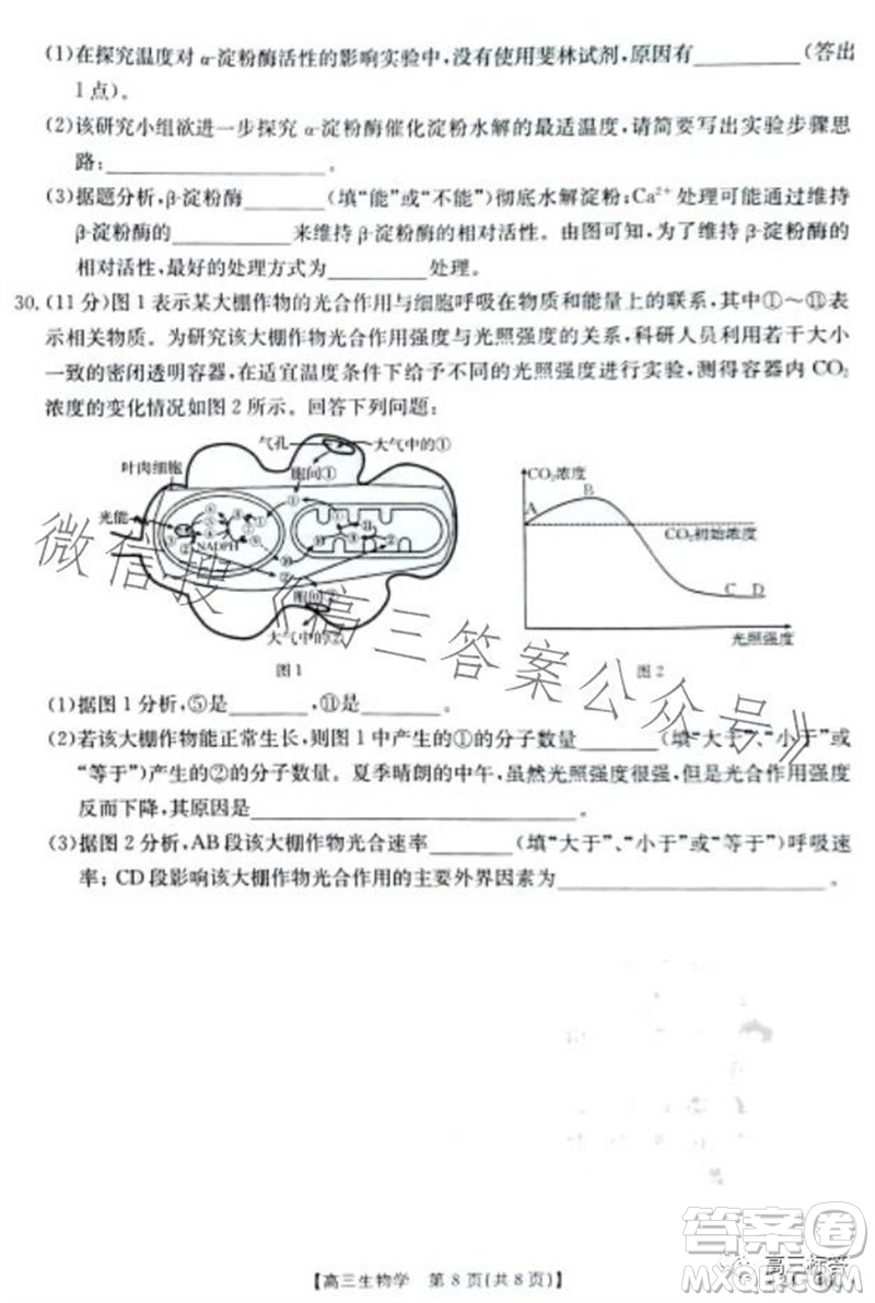 2024屆新疆金太陽(yáng)聯(lián)考高三10月30日24-46C生物試卷答案