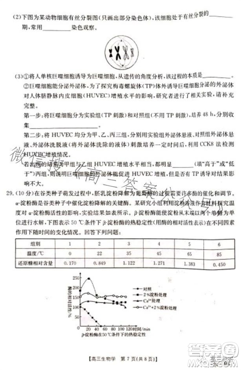2024屆新疆金太陽(yáng)聯(lián)考高三10月30日24-46C生物試卷答案