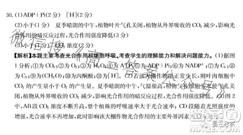 2024屆新疆金太陽(yáng)聯(lián)考高三10月30日24-46C生物試卷答案