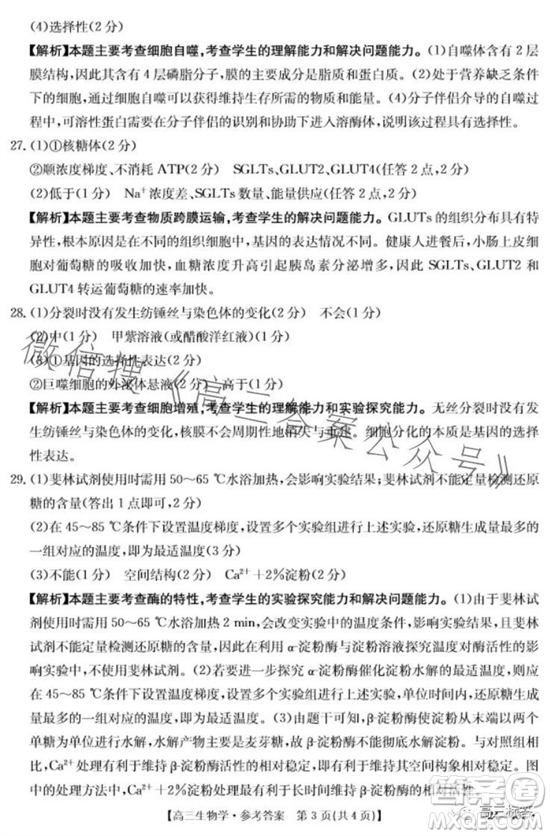 2024屆新疆金太陽(yáng)聯(lián)考高三10月30日24-46C生物試卷答案