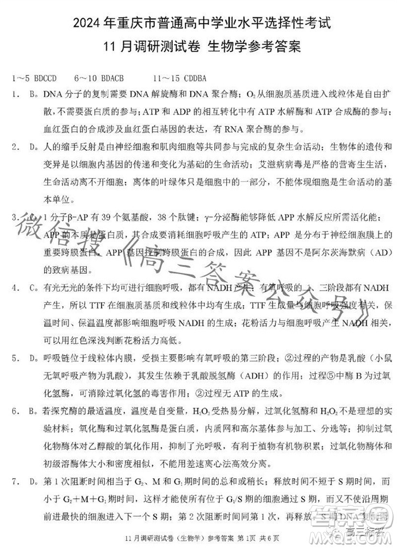 2024年普通高等學校招生全國統(tǒng)一考試11月調研測試卷重慶康德卷生物答案