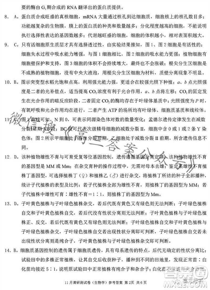 2024年普通高等學校招生全國統(tǒng)一考試11月調研測試卷重慶康德卷生物答案