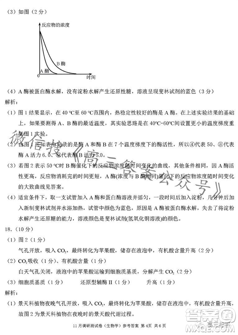 2024年普通高等學校招生全國統(tǒng)一考試11月調研測試卷重慶康德卷生物答案