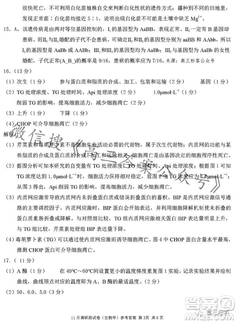 2024年普通高等學校招生全國統(tǒng)一考試11月調研測試卷重慶康德卷生物答案