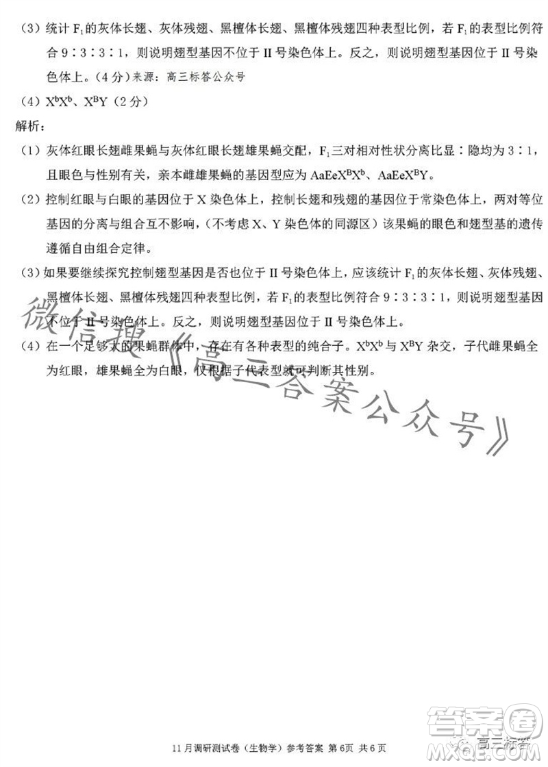 2024年普通高等學校招生全國統(tǒng)一考試11月調研測試卷重慶康德卷生物答案