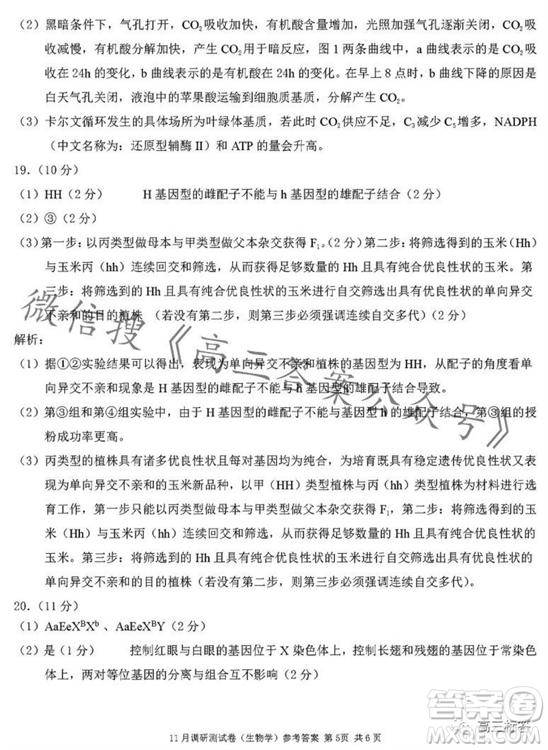 2024年普通高等學校招生全國統(tǒng)一考試11月調研測試卷重慶康德卷生物答案