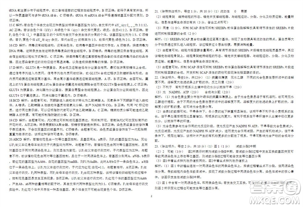 2024屆山東省高三年級(jí)適應(yīng)性聯(lián)考一生物試題答案
