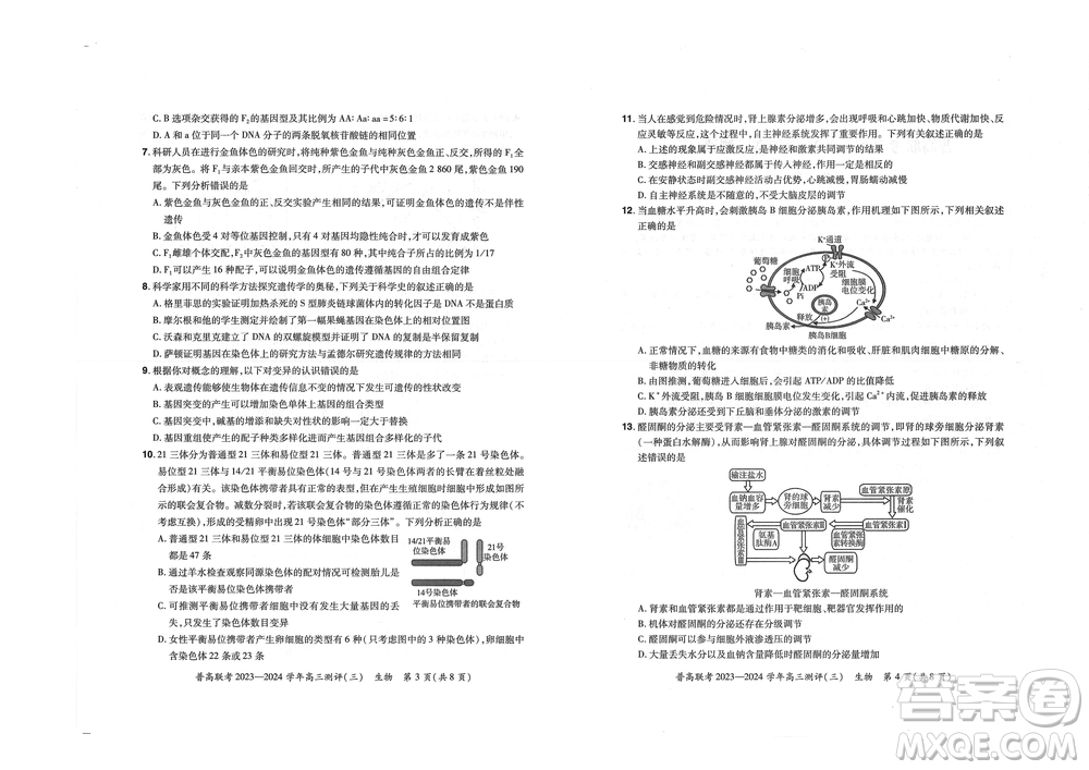 河南省普高聯(lián)考2023-2024學(xué)年高三測(cè)評(píng)三生物試卷答案