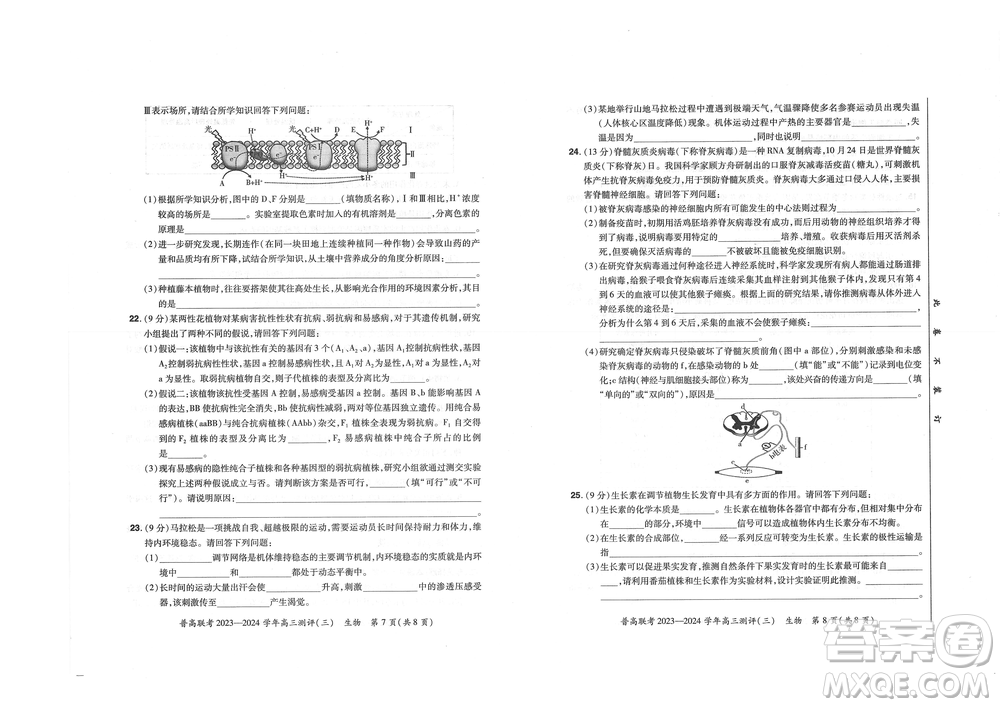 河南省普高聯(lián)考2023-2024學(xué)年高三測(cè)評(píng)三生物試卷答案