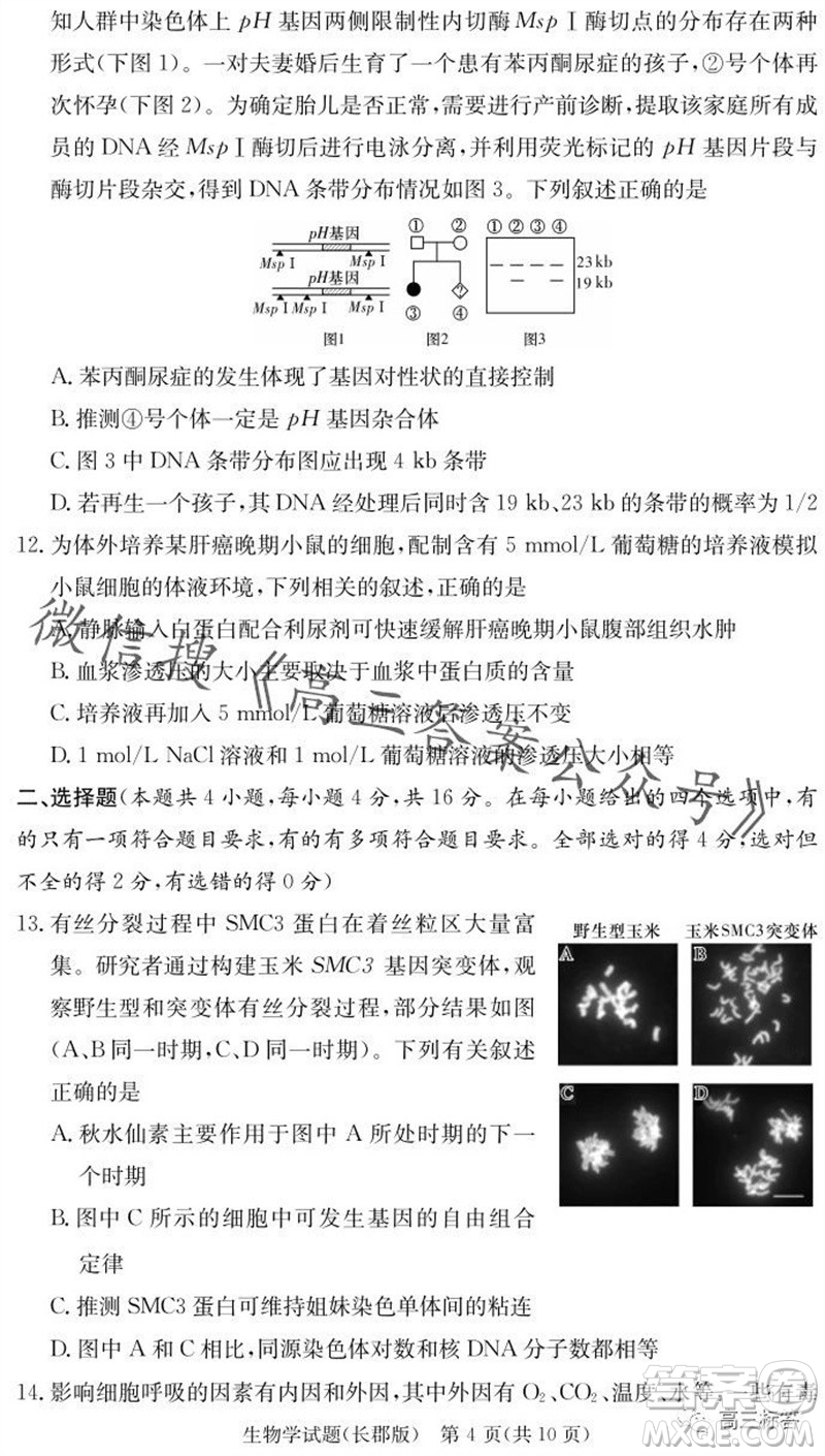 大聯(lián)考長郡中學(xué)2024屆高三上學(xué)期月考試卷三生物試題答案