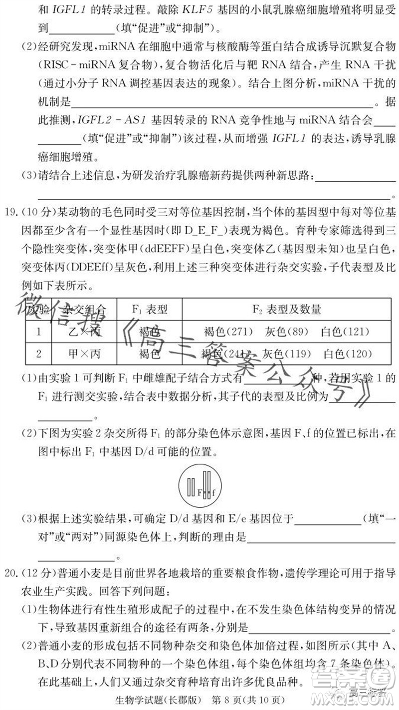 大聯(lián)考長郡中學(xué)2024屆高三上學(xué)期月考試卷三生物試題答案