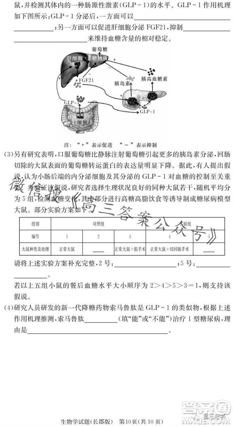 大聯(lián)考長郡中學(xué)2024屆高三上學(xué)期月考試卷三生物試題答案