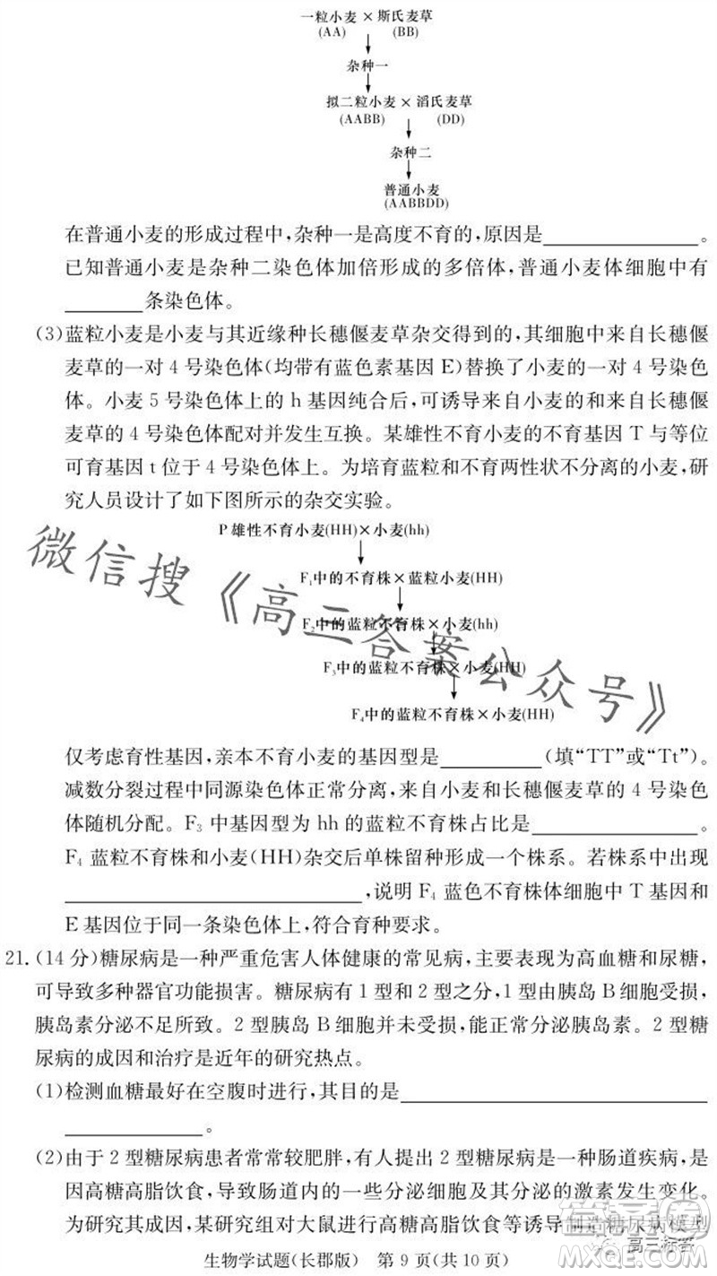 大聯(lián)考長郡中學(xué)2024屆高三上學(xué)期月考試卷三生物試題答案