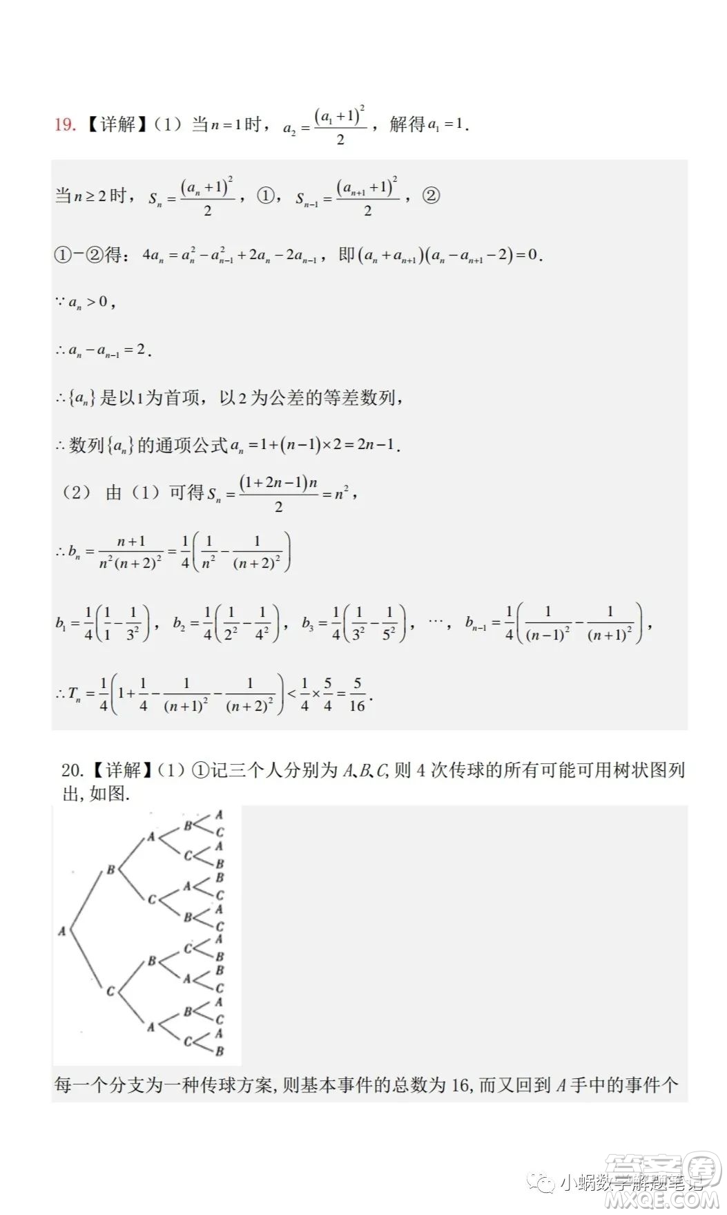 湖北省部分重點中學2024屆高三上學期第一次聯(lián)考數學試題答案