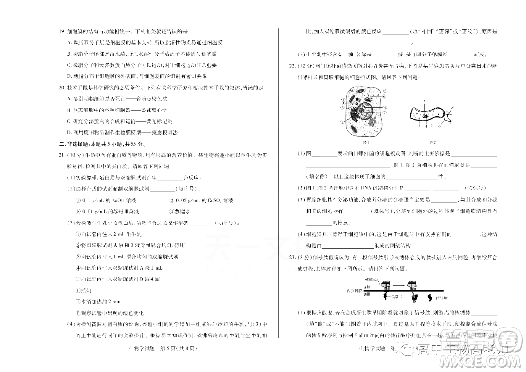 天一大聯考2022-2023學年高一上學期期中考試試題生物試卷答案