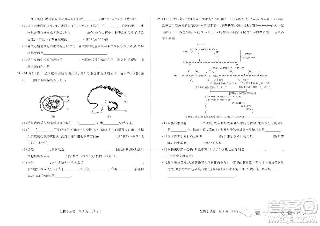天一大聯考2022-2023學年高一上學期期中考試試題生物試卷答案