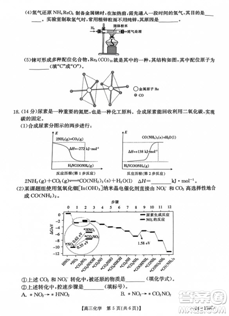 2024屆遼寧省高三年級(jí)11月金太陽聯(lián)考24-131C化學(xué)試題答案