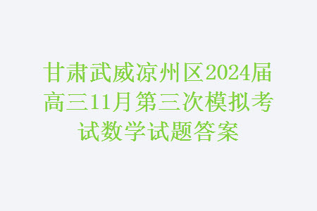 甘肅武威涼州區(qū)2024屆高三11月第三次模擬考試數(shù)學試題答案