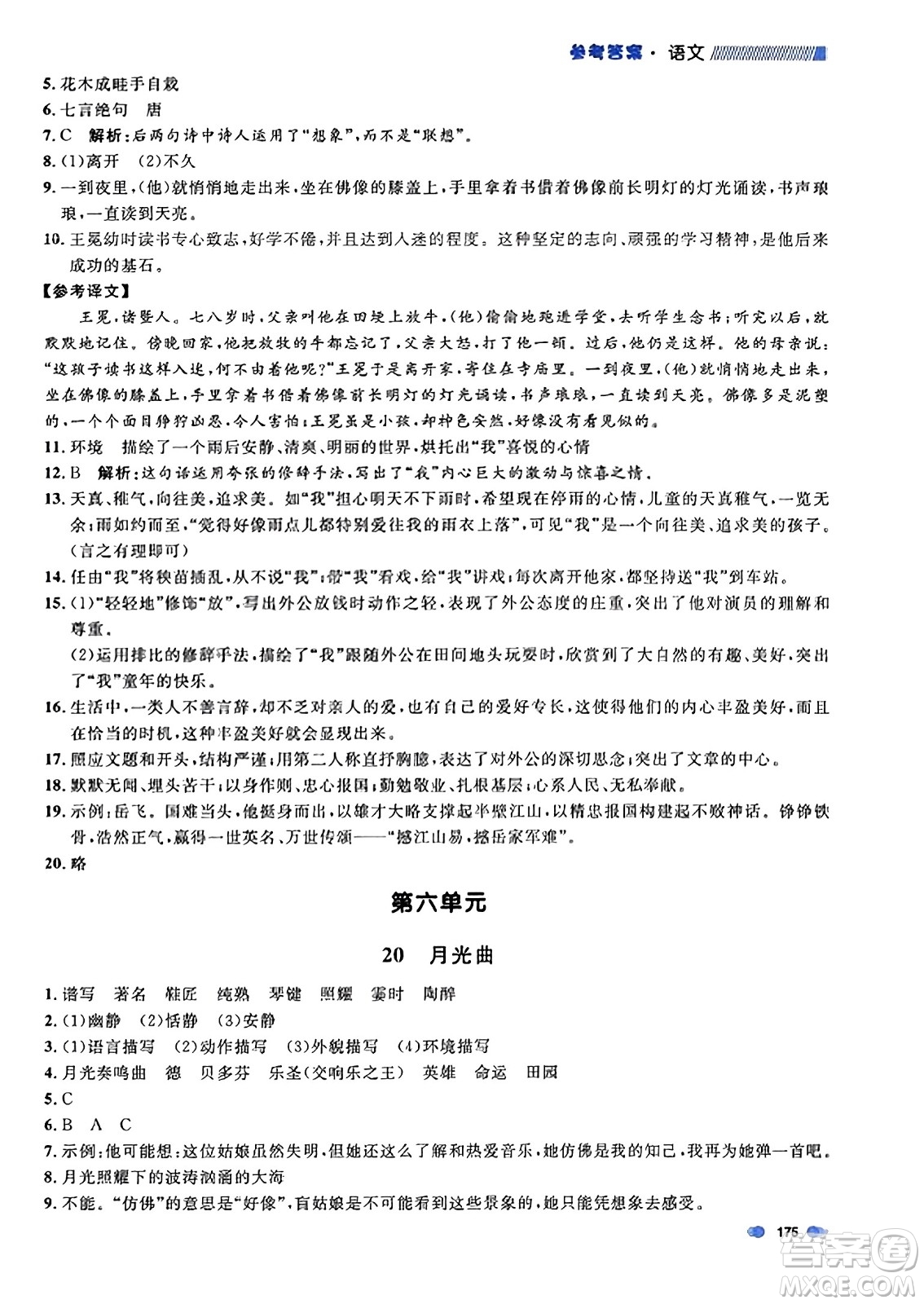 上海大學(xué)出版社2023年秋上海作業(yè)六年級(jí)語文上冊(cè)上海專版答案