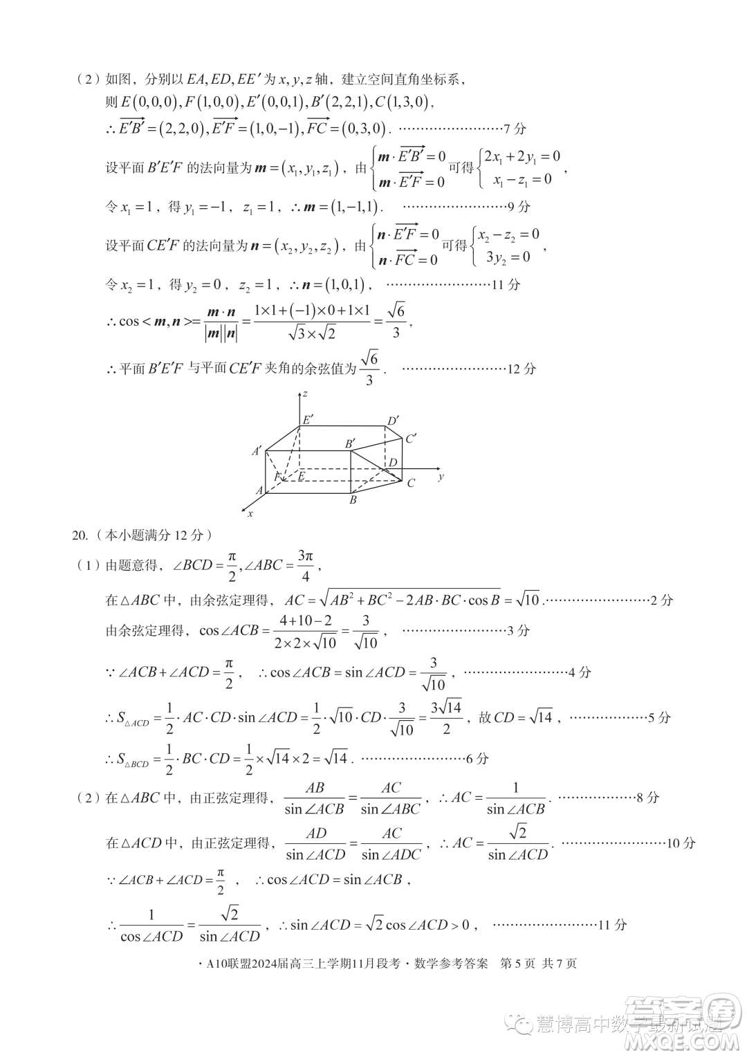 A10聯(lián)盟2024屆高三上學(xué)期11月段考數(shù)學(xué)試題答案