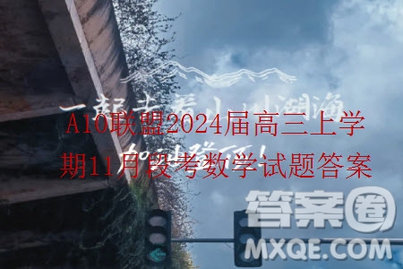 A10聯(lián)盟2024屆高三上學(xué)期11月段考數(shù)學(xué)試題答案