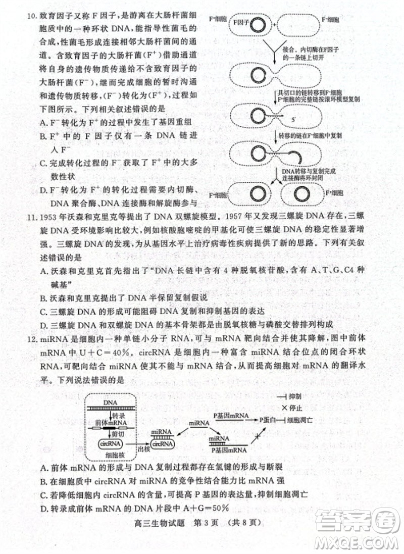 山東省名?？荚嚶?lián)盟2023-2024學(xué)年高三上學(xué)期11月期中檢測(cè)生物試題答案