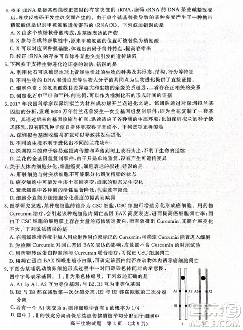 山東省名?？荚嚶?lián)盟2023-2024學(xué)年高三上學(xué)期11月期中檢測(cè)生物試題答案