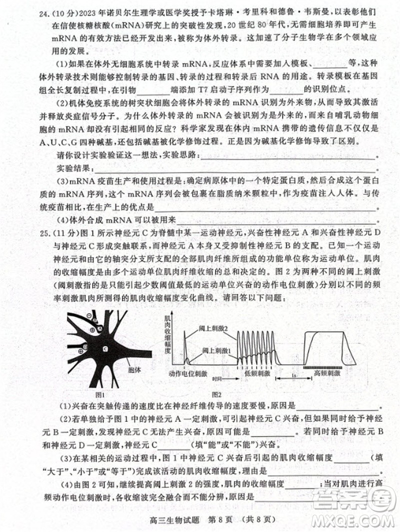 山東省名?？荚嚶?lián)盟2023-2024學(xué)年高三上學(xué)期11月期中檢測(cè)生物試題答案