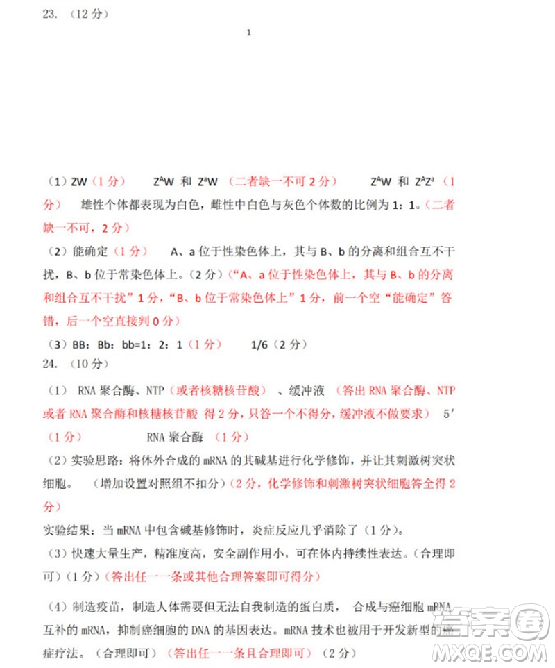 山東省名?？荚嚶?lián)盟2023-2024學(xué)年高三上學(xué)期11月期中檢測(cè)生物試題答案