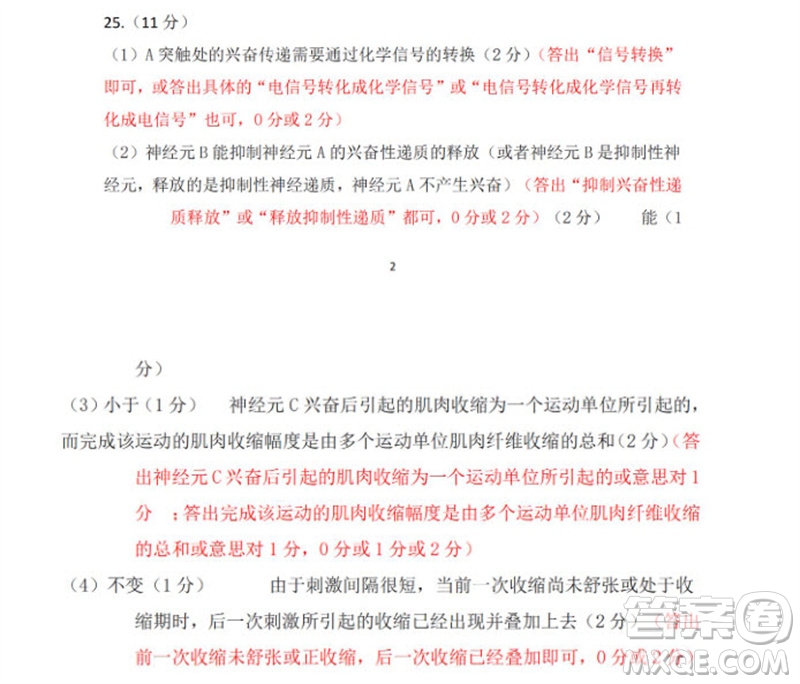山東省名?？荚嚶?lián)盟2023-2024學(xué)年高三上學(xué)期11月期中檢測(cè)生物試題答案