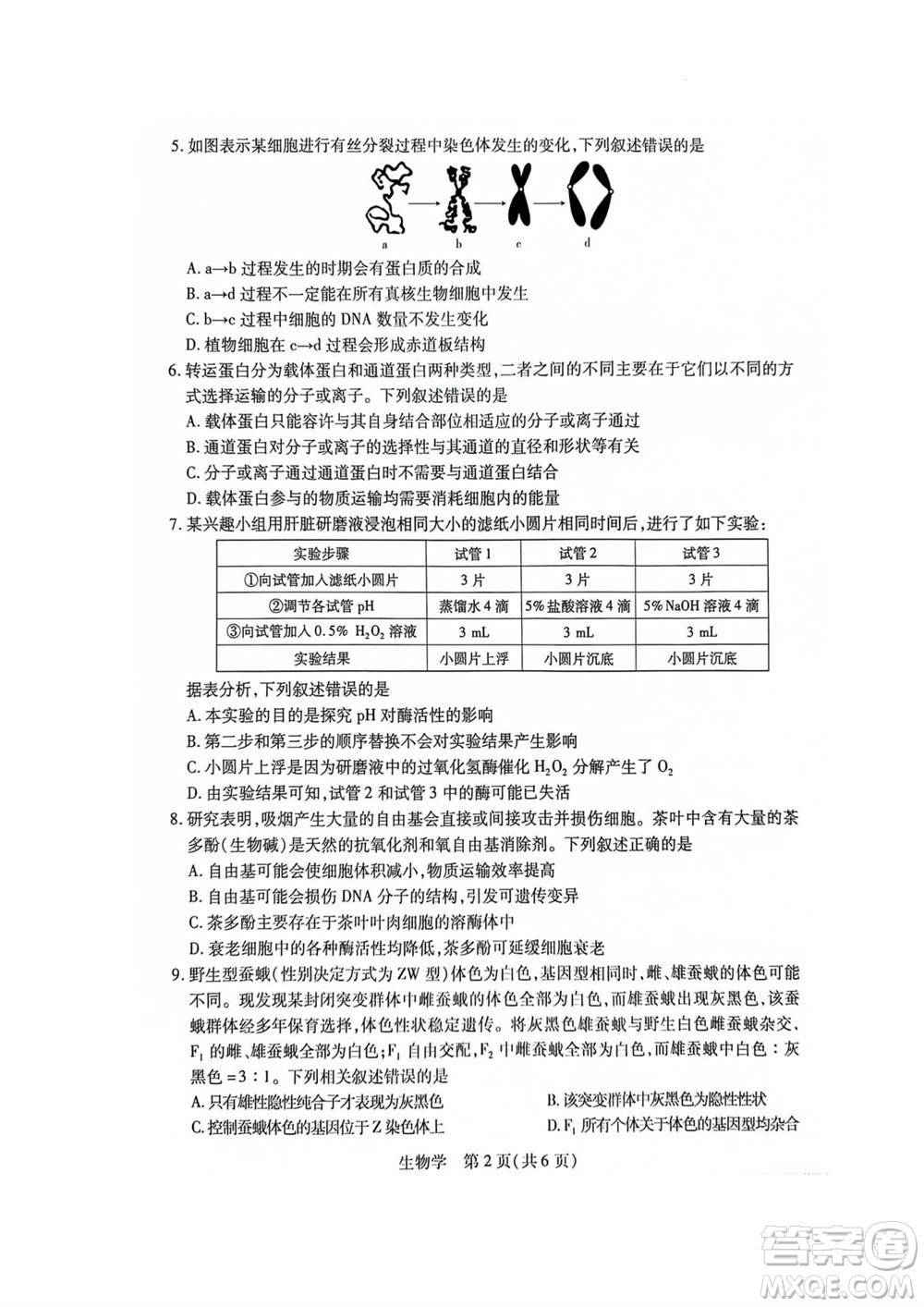 江西省穩(wěn)派2024屆高三11月一輪總復(fù)習(xí)調(diào)研測(cè)試生物試題答案