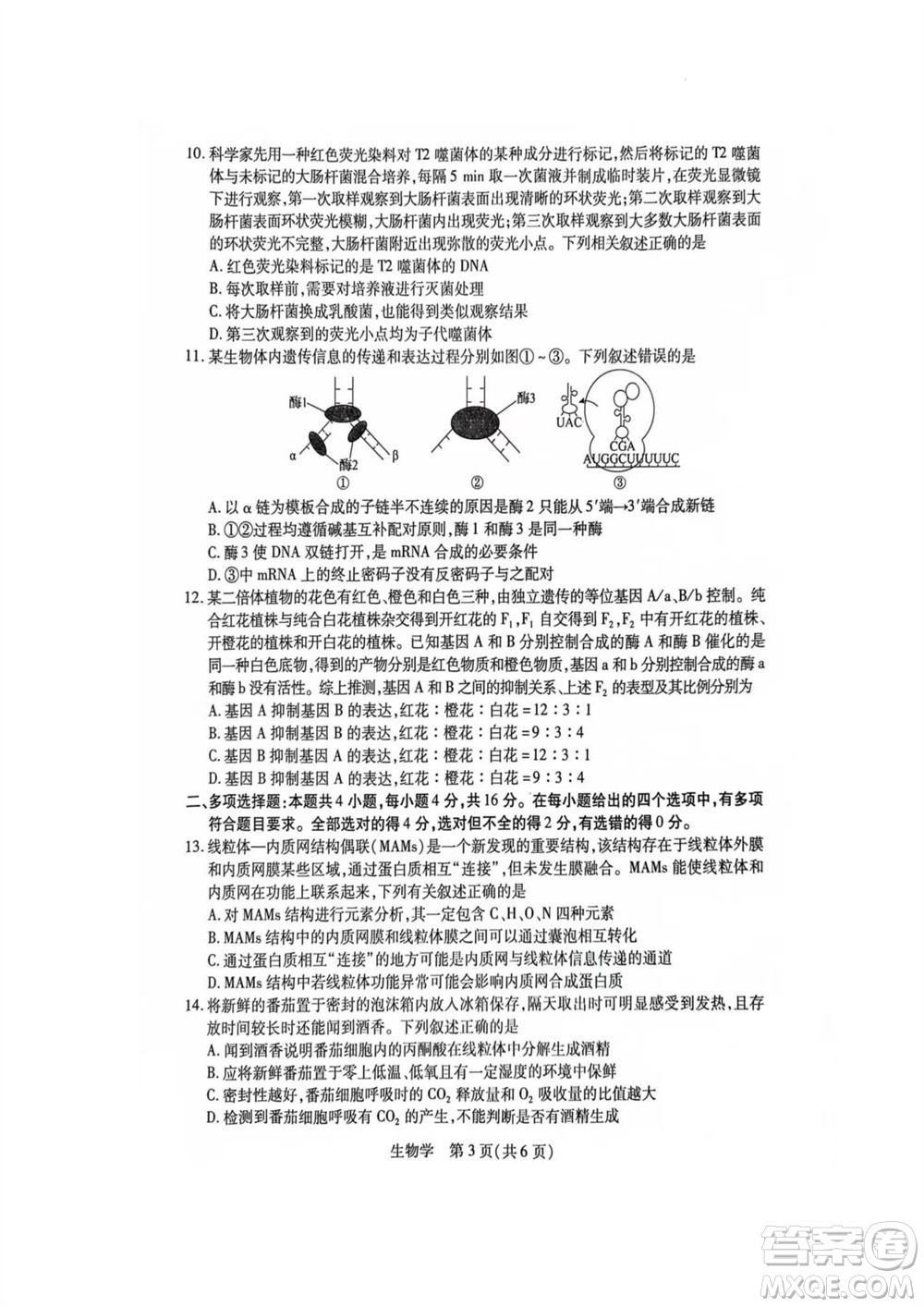 江西省穩(wěn)派2024屆高三11月一輪總復(fù)習(xí)調(diào)研測(cè)試生物試題答案