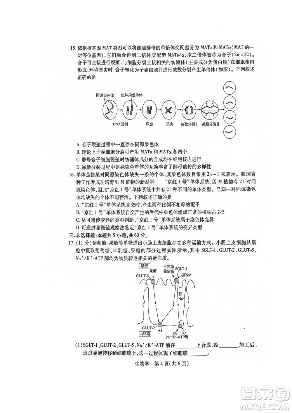 江西省穩(wěn)派2024屆高三11月一輪總復(fù)習(xí)調(diào)研測(cè)試生物試題答案