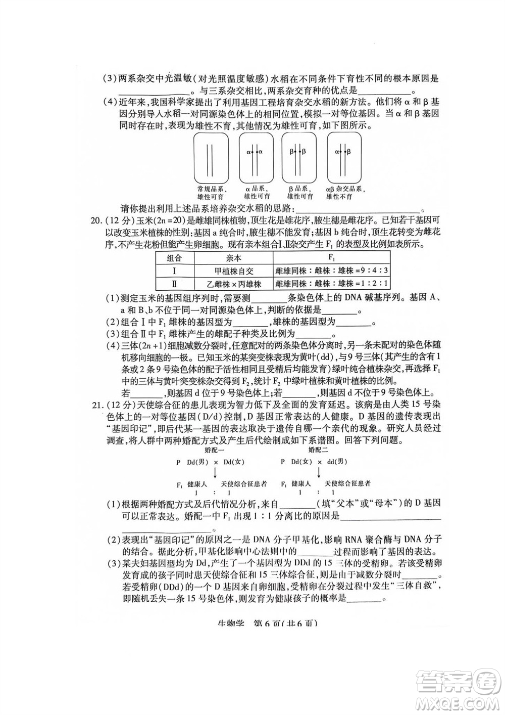江西省穩(wěn)派2024屆高三11月一輪總復(fù)習(xí)調(diào)研測(cè)試生物試題答案