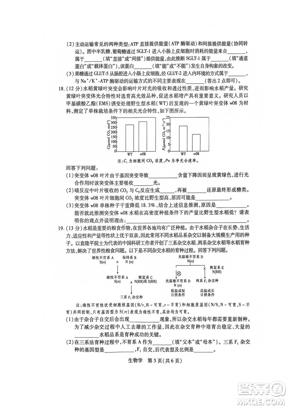 江西省穩(wěn)派2024屆高三11月一輪總復(fù)習(xí)調(diào)研測(cè)試生物試題答案