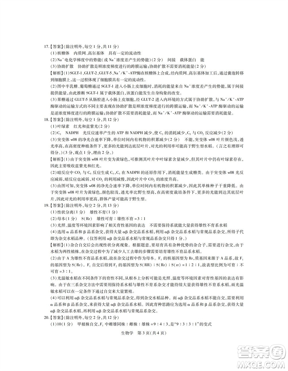 江西省穩(wěn)派2024屆高三11月一輪總復(fù)習(xí)調(diào)研測(cè)試生物試題答案