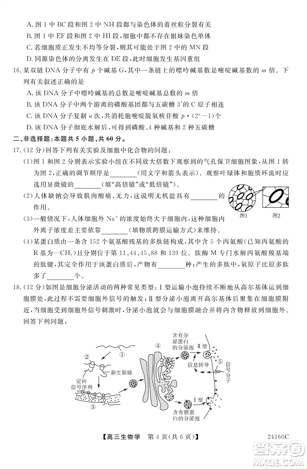福州市2024屆閩江口協(xié)作體高三上學(xué)期11月期中聯(lián)考生物試題答案